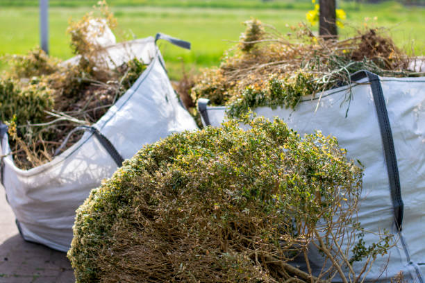Best Dumpster Rental Services  in Oxford, MS